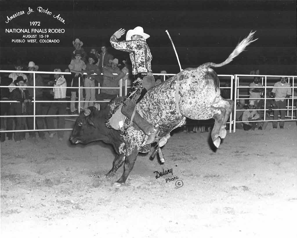 american jr rodeo assn 1972 pueblo andy taylor bull
