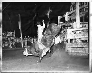 Andy taylor rodeo bull